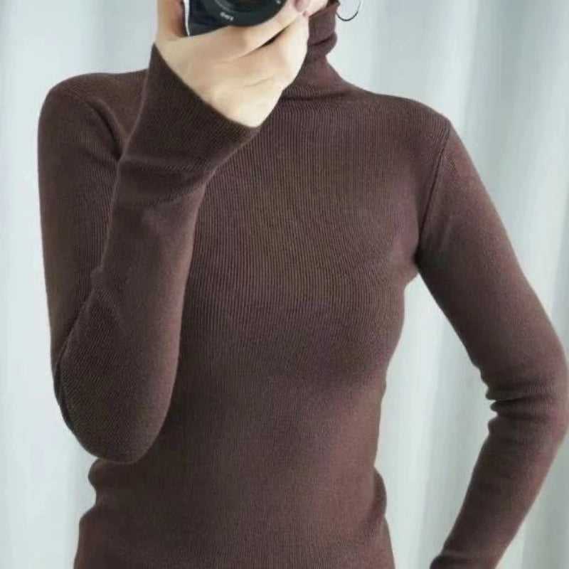 
                  
                    Women Sweater Winter Cashmere Turtleneck Warm Knitwear Korean Casual Solid Bottoming Shirt Fashion Knit Pullovers Brown Sweater
                  
                